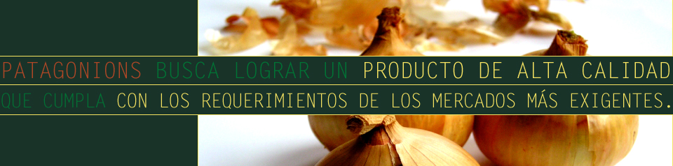Produccion de Cebollas Argentinas